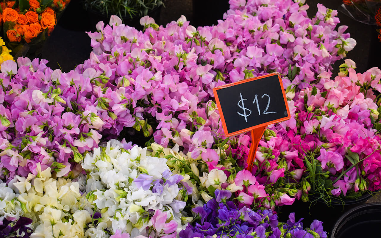 Follow the Sydney markets guide to find affordable flowers