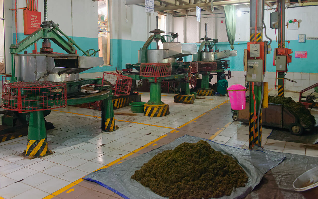 Modern rolling machines at the Geragama tea factory