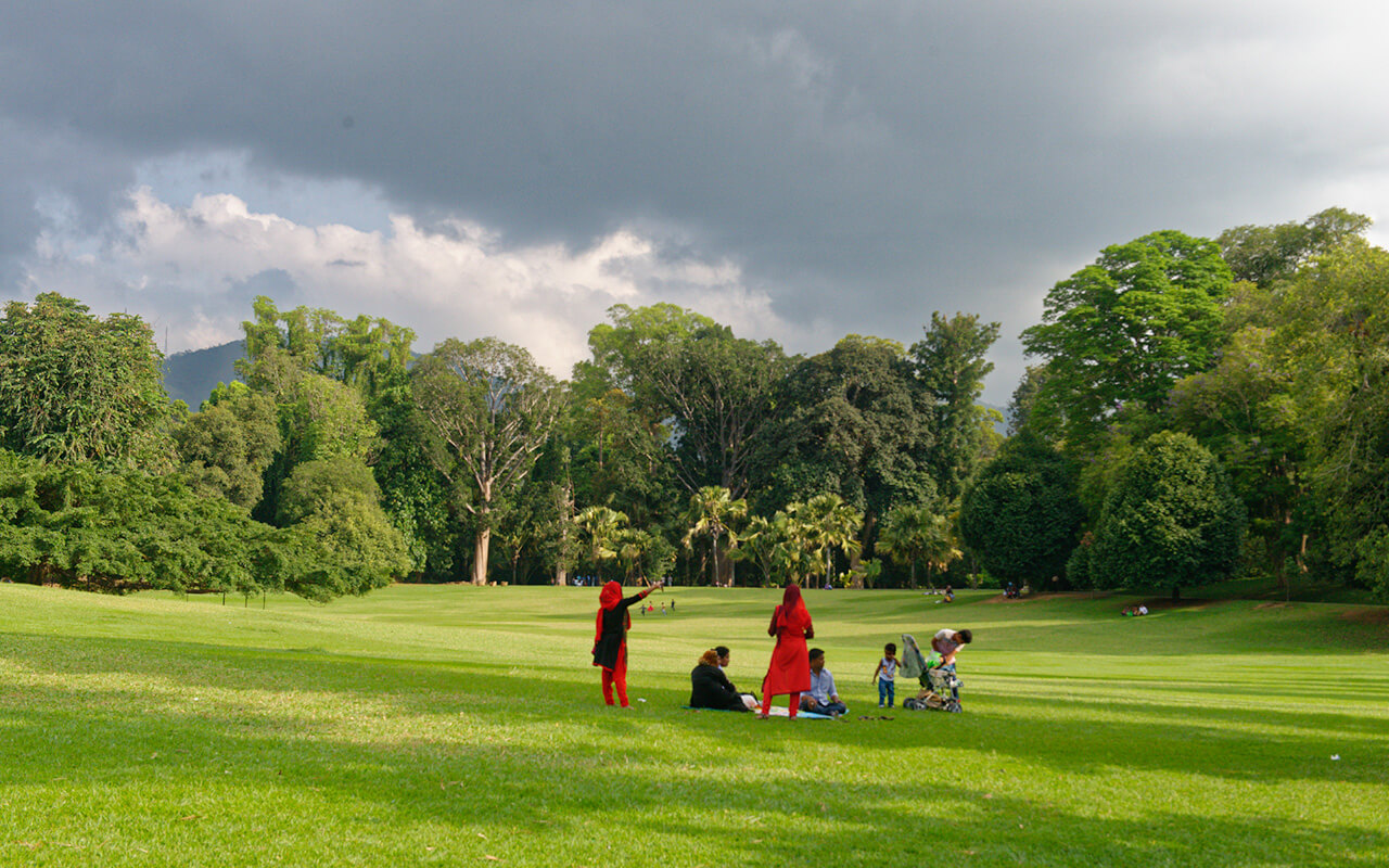 Sri Lankan families enjoy some time out at the Peradeniya Royal Botanical Garden