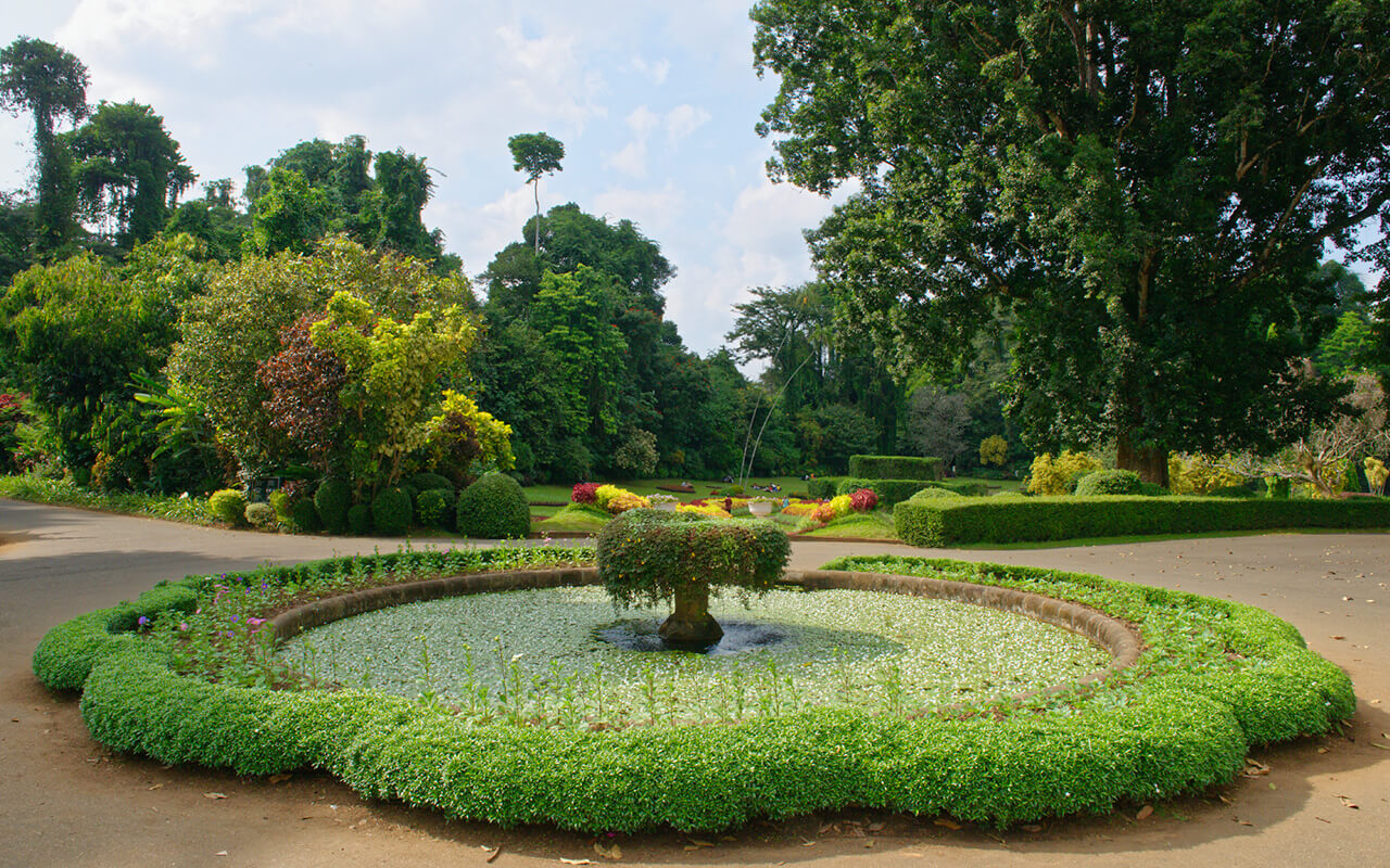 A stylish bond greets you at the entrance of the Peradeniya Royal Botanical Garden