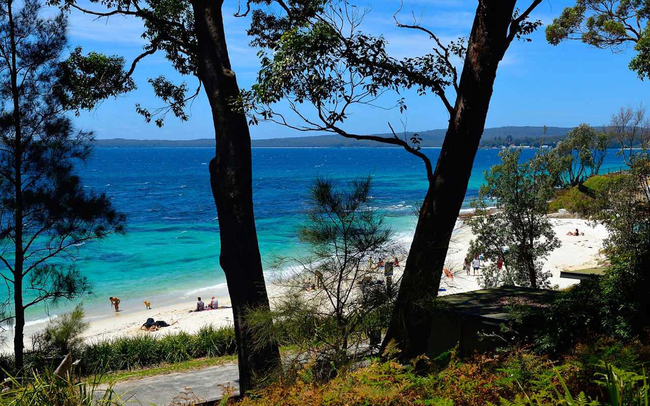 I discovered Green Patch on a camping trip to Jervis Bay