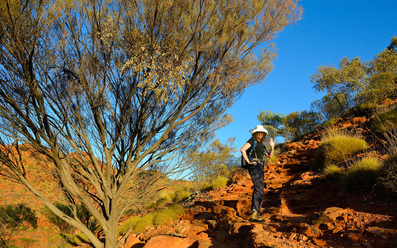 At the start of the Kings Canyon Rim Walk, you have to climb Heartbreak Hill