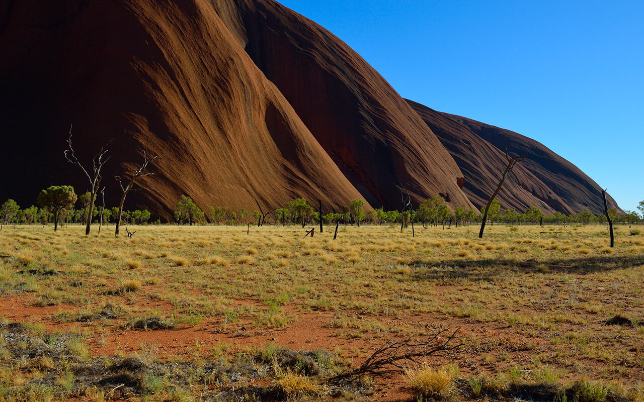 Don't forget to visit the base of the rock for some great Uluru sights