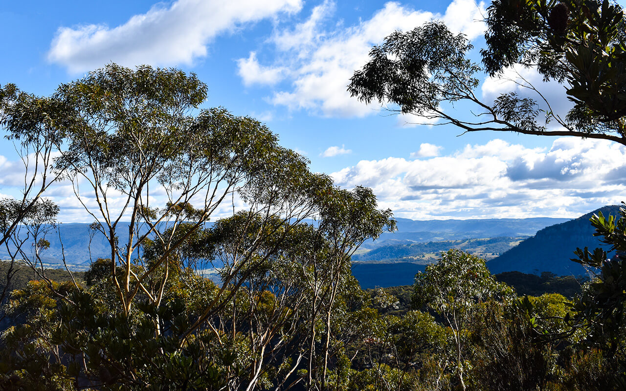 There is a place called Landslide Lookout in the Blue Mountains