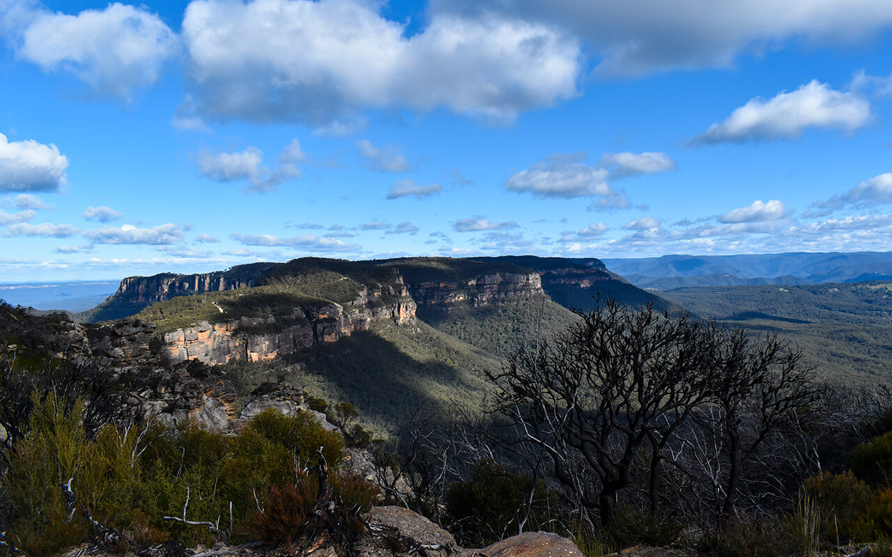Visit the Narrow Neck lookout in the Blue Mountains