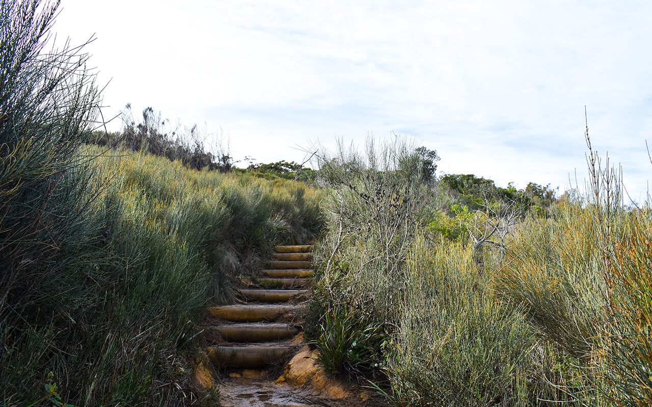 You will need to climb some steps when visiting Bouddi National Park