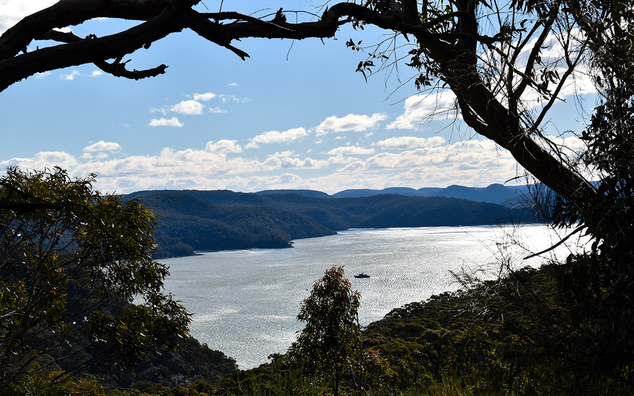 There are some beautiful spots on the way to West Head Lookout