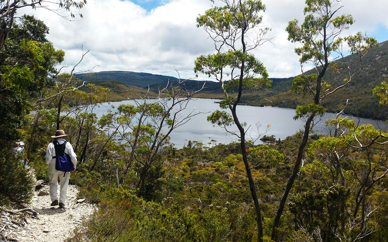 lesterlost-travel-australia-tasmania-cradle-mountain-wilderness-dove-lake-track