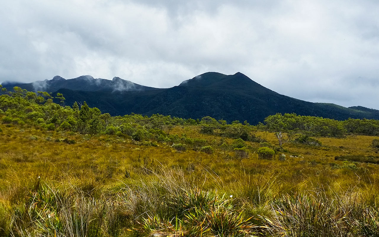 lesterlost-travel-australia-tasmania-cradle-mountain-wilderness-grassland