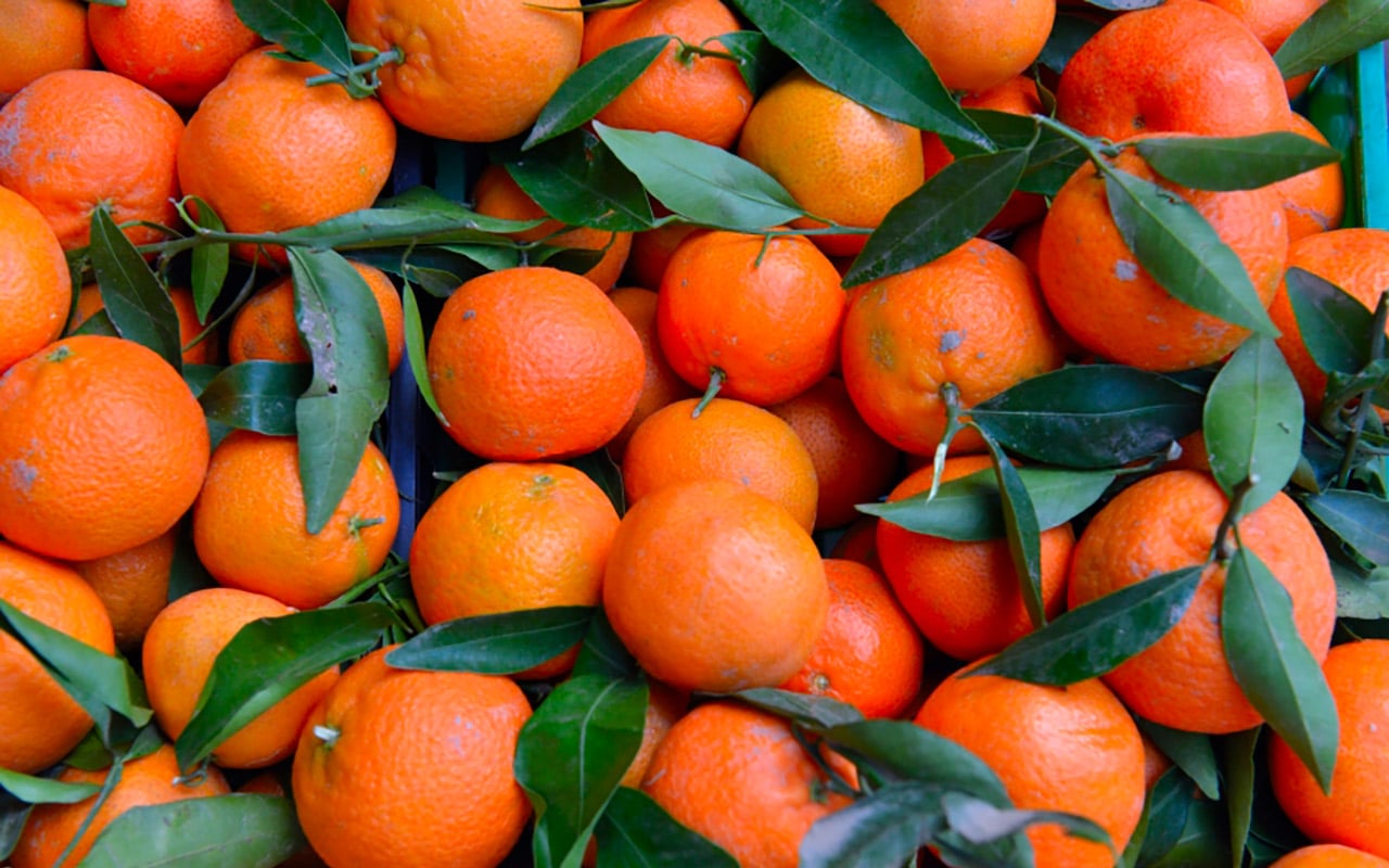 Fragrant and sweet mandarines are a delight when travelling around Morocco on a hot day
