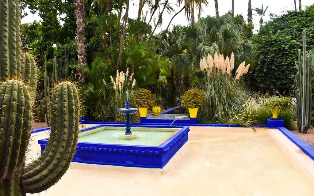 Don't miss the Jardin Majorelle when you tour Marrakech