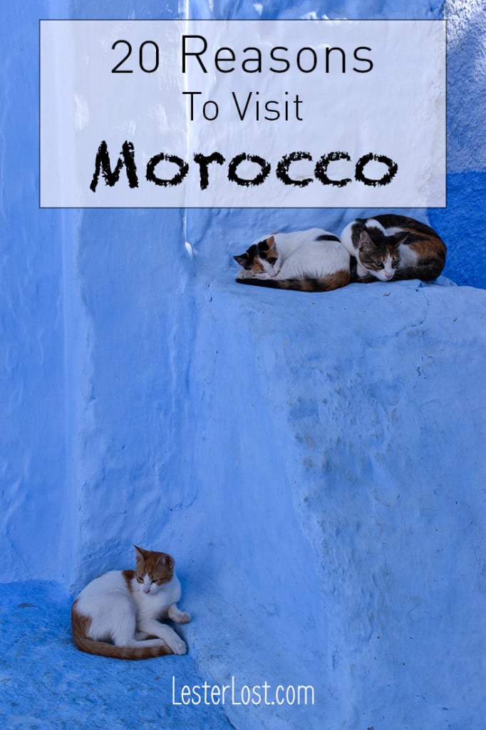 Travel | Morocco | Morocco Travel | Travel Tips | Travel Inspiration | Marrakech | Essaouira | Chefchaouen | Morocco Travel Guide | Active Holidays | Morocco Adventure #morocco #travel #travelblog