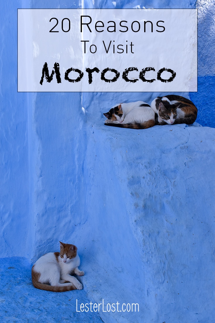 Travel | Morocco | Morocco Travel | Travel Tips | Travel Inspiration | Marrakech | Essaouira | Chefchaouen | Morocco Travel Guide | Active Holidays | Morocco Adventure
#morocco #travel #travelblog