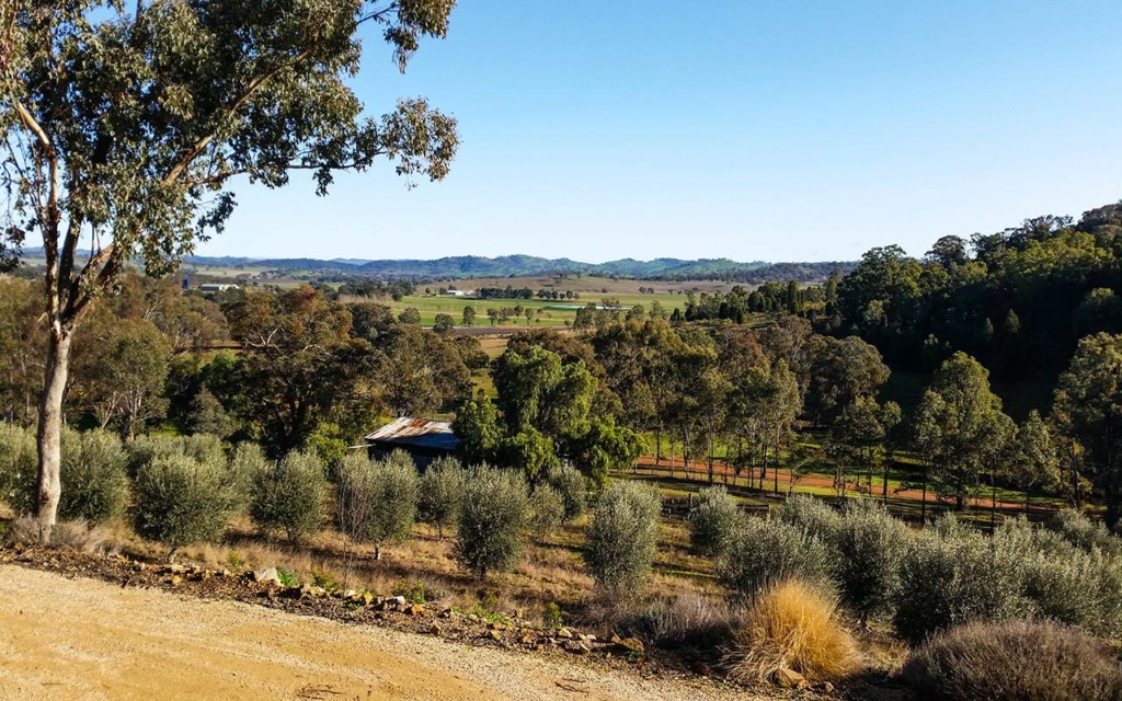 For some beautiful countryside views, escape to the Mudgee wineries