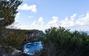 View the beautiful cliffs of the North Head Manly Walk