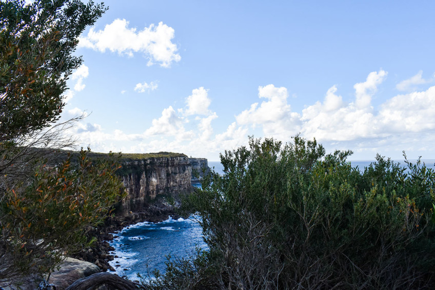 The Stunning Cliffs Of The North Head Manly Walk Lesterlost