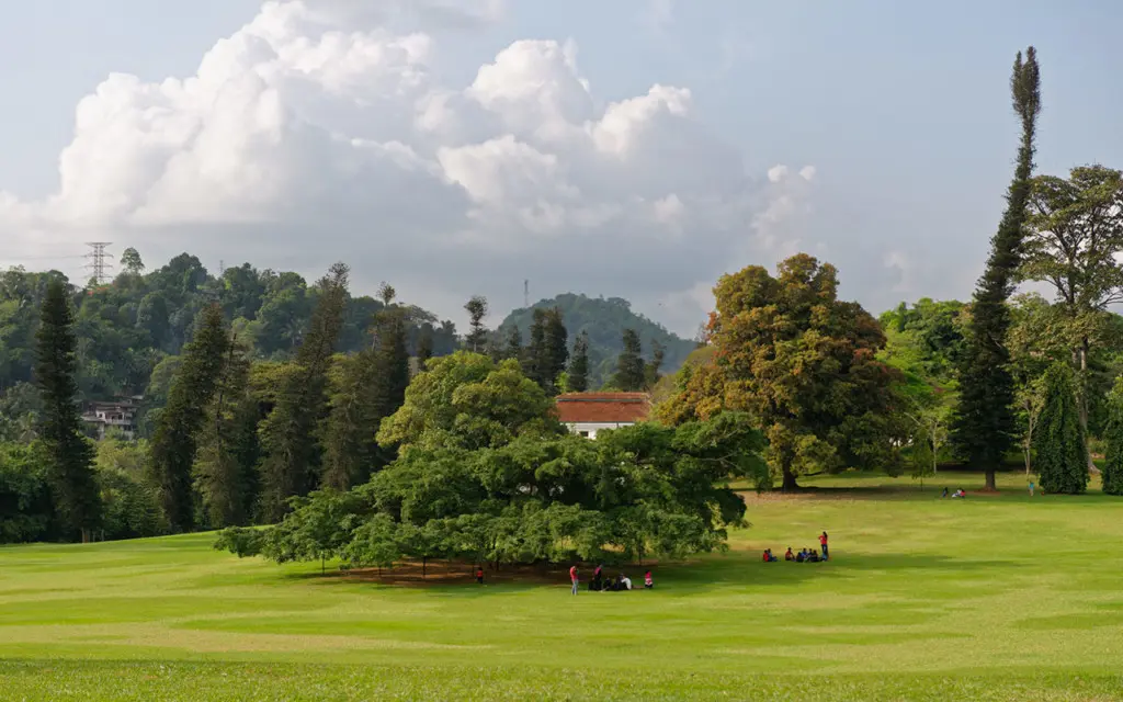 The Peradeniya Royal Botanical Gardens are a beautiful break on the road to Kandy