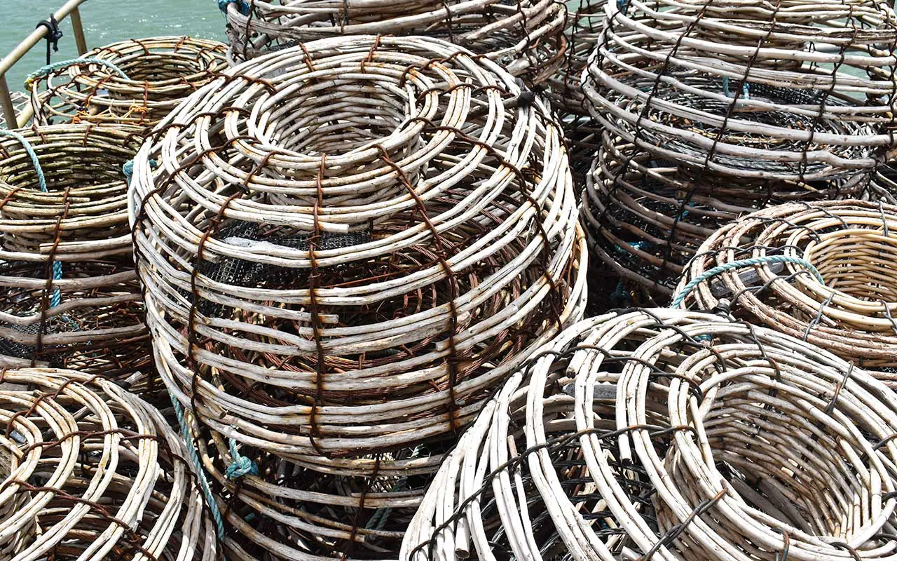 Cray fishing is one of Tasmania's tourist attractions