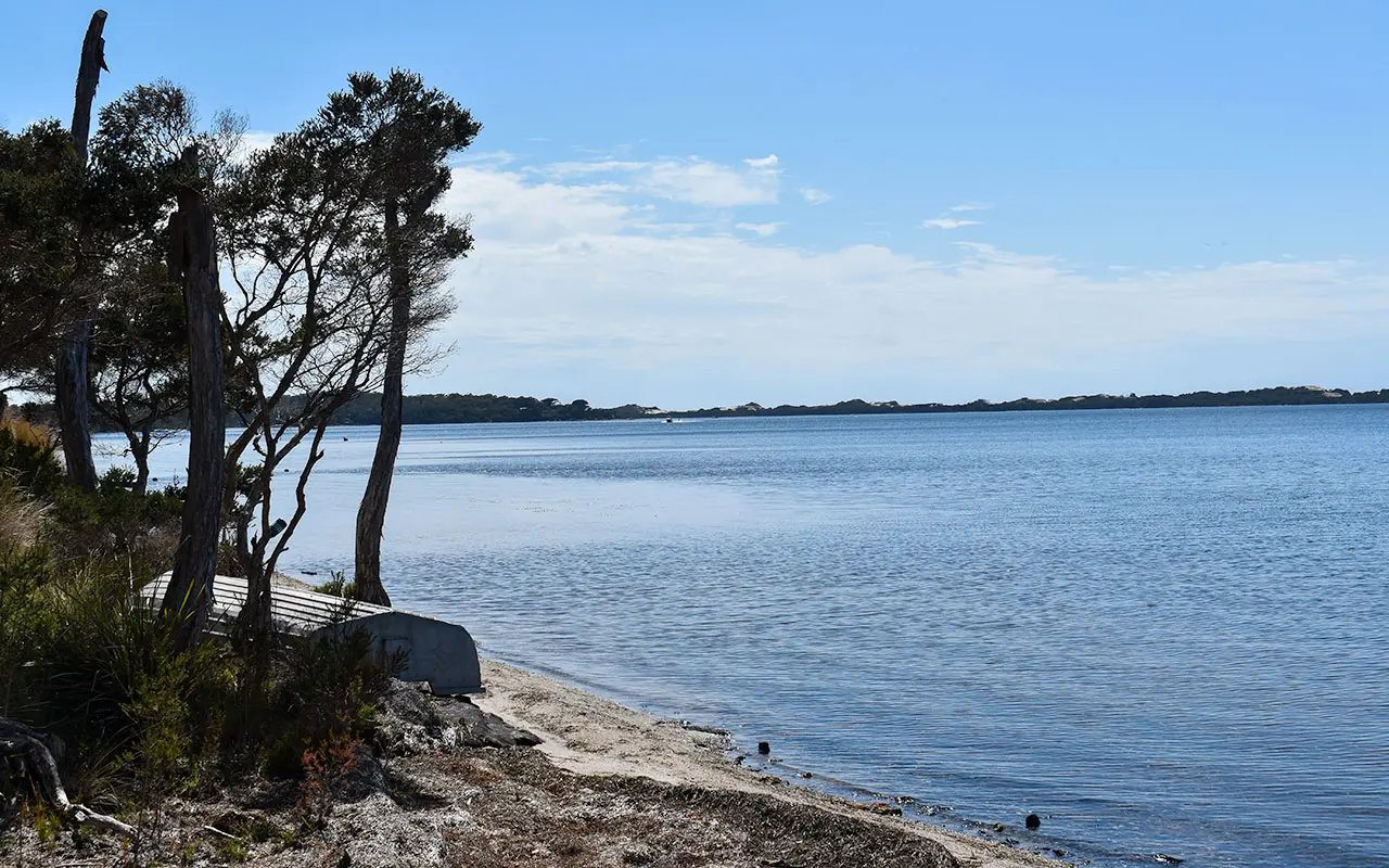 Ansons Bay is a peaceful cove you can see when driving around Tasmania