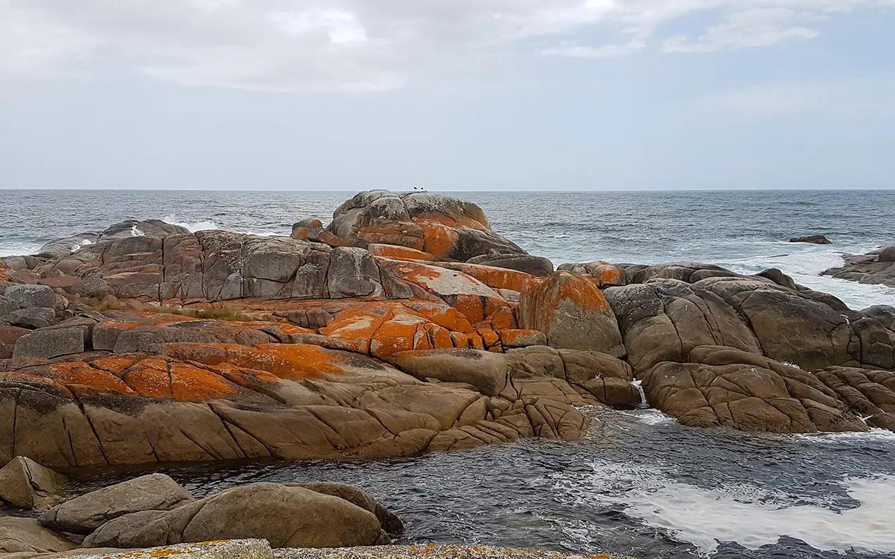 The Bay of Fires is one of the most extraordinary places to visit in Tasmania