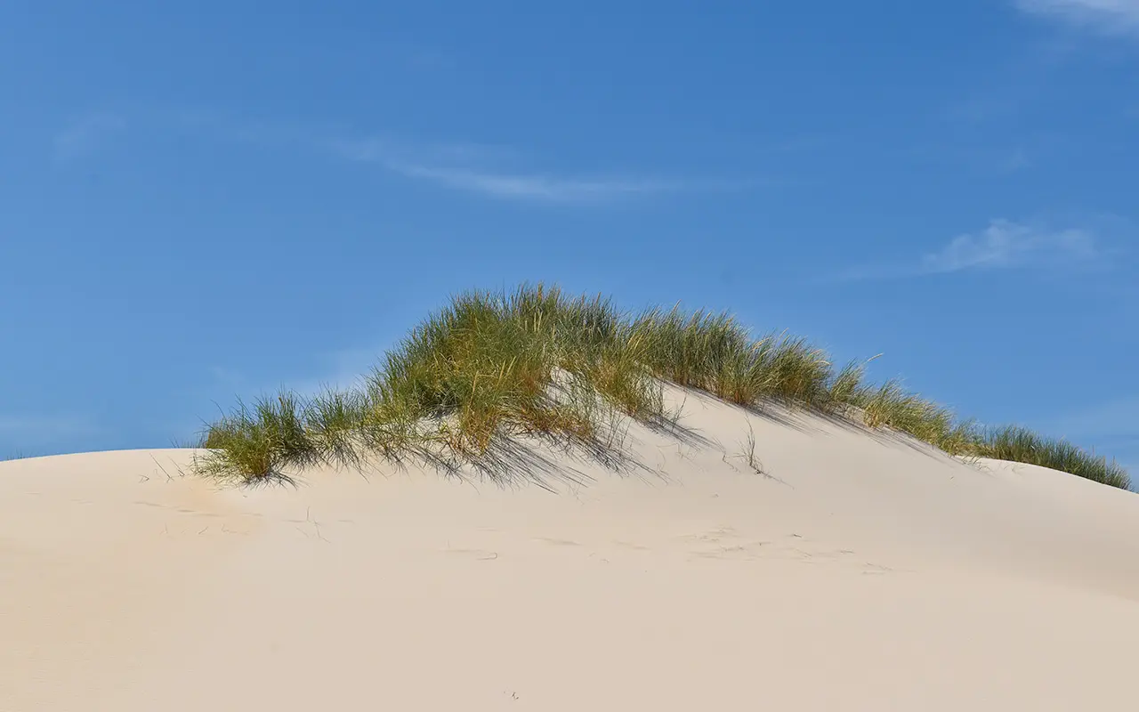 The lesser known Peron Dunes should feature on your list of places to go in Tasmania