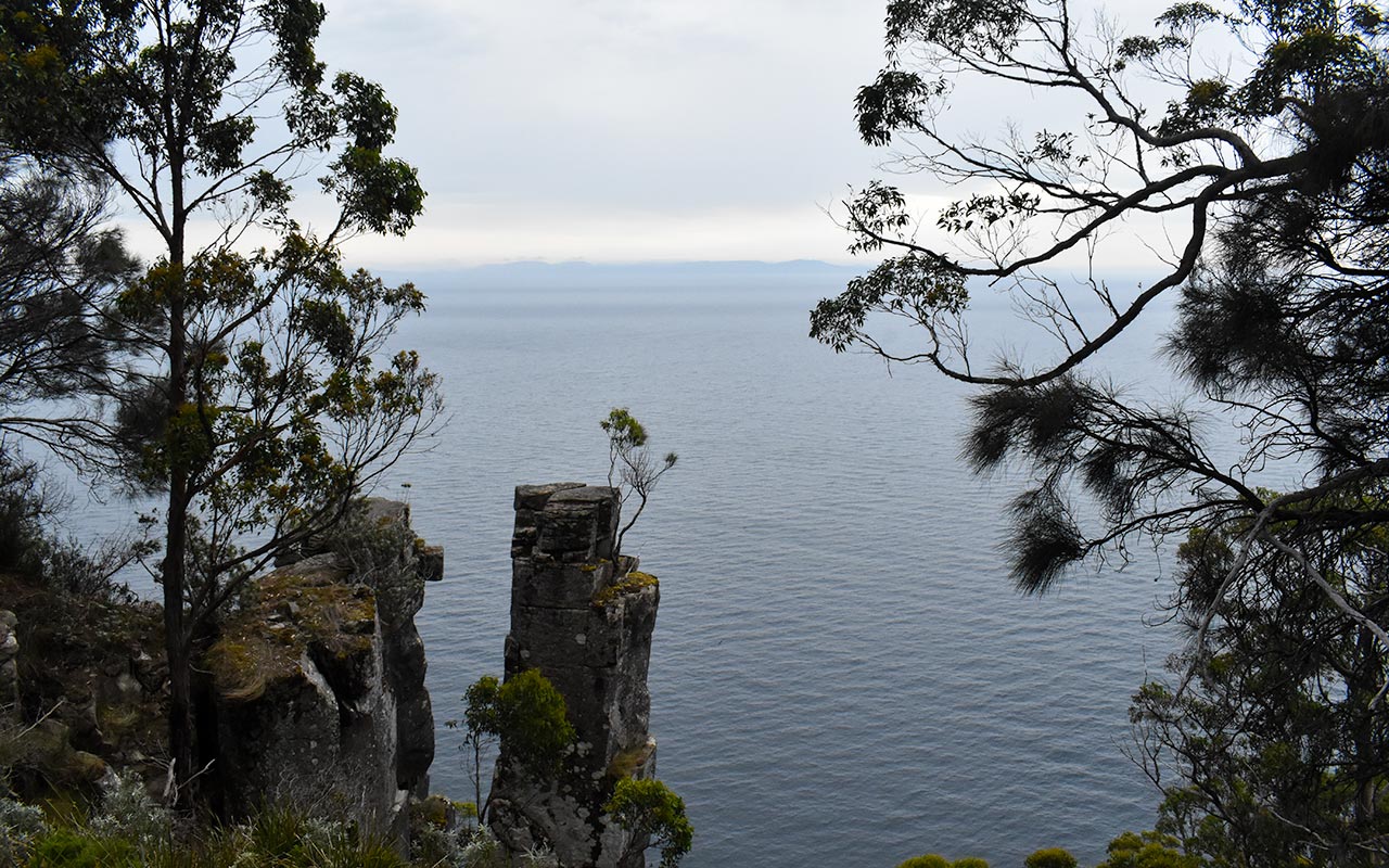 The Fluted Cape walk is one of the best things to do on Bruny Island