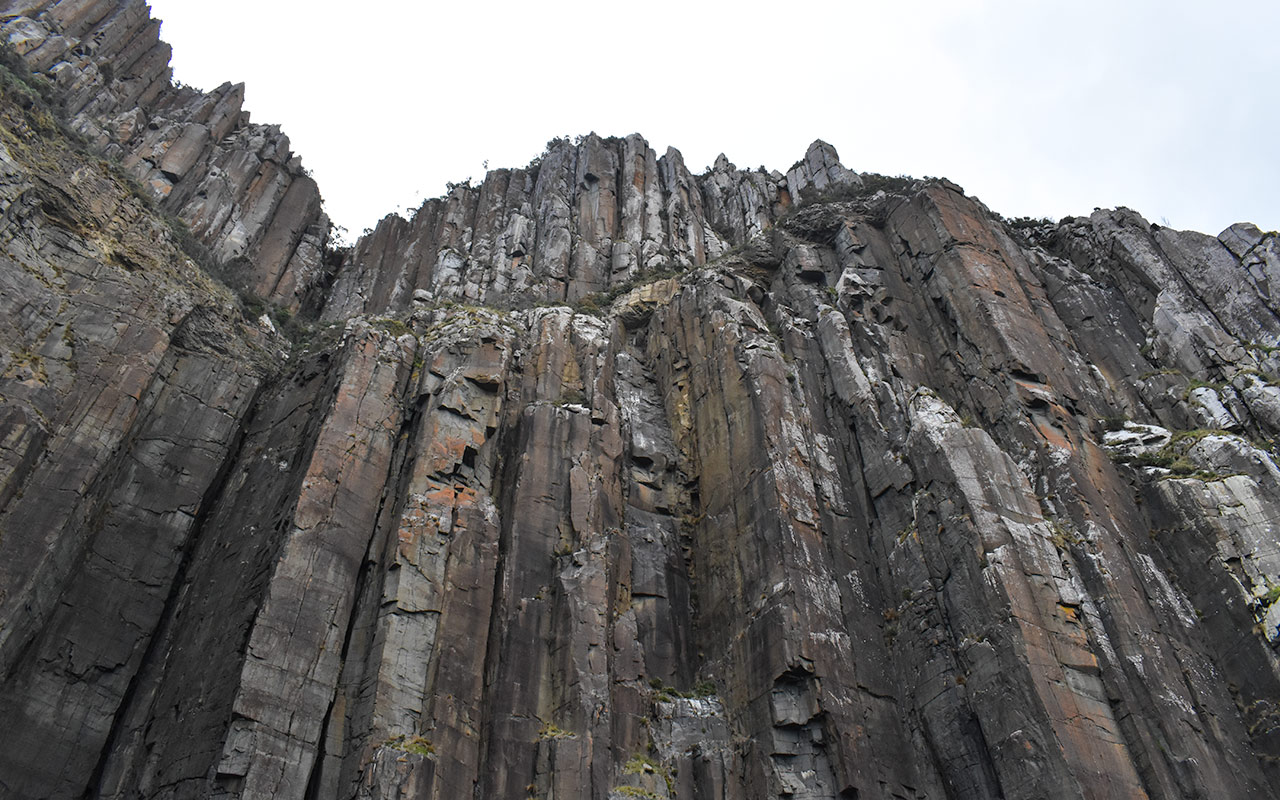 Don't miss the vertical cliffs on your Bruny Island trip