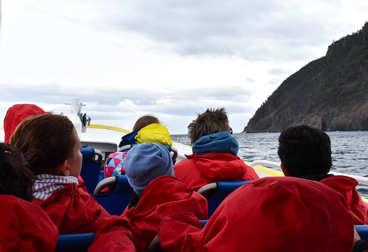 Taking a wilderness cruise will give a fantastic Bruny Island wildlife adventure