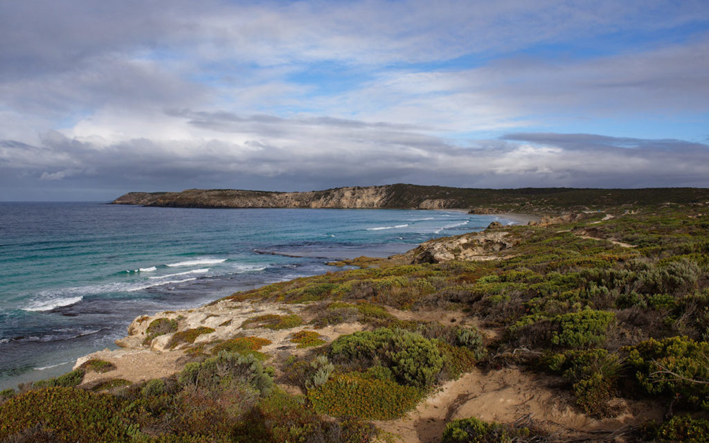 The coast of Kangaroo Island in South Australia