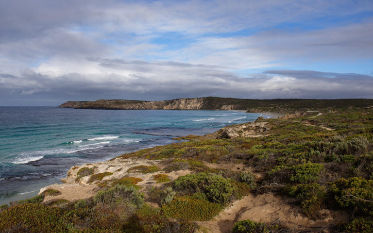 The Best Things to do on Your Kangaroo Island Holidays | LesterLost