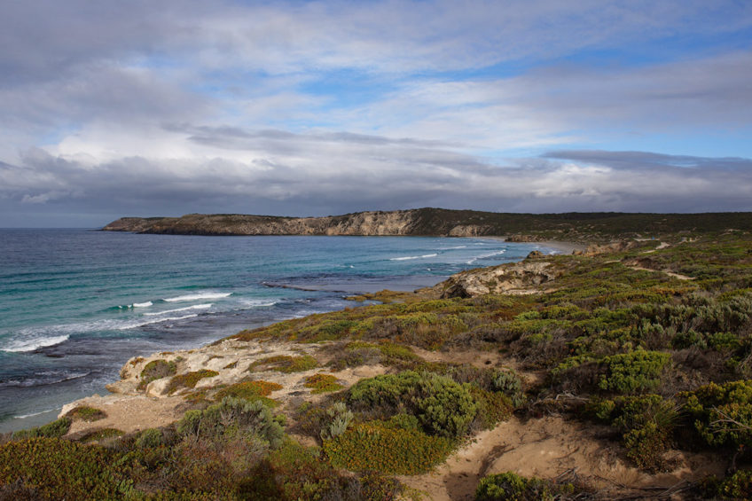 The Best Things to do on Your Kangaroo Island Trip - LesterLost