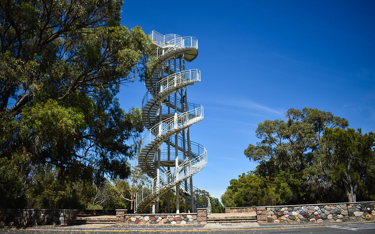 Climb the Kings Park DNA Tower when you visit Perth