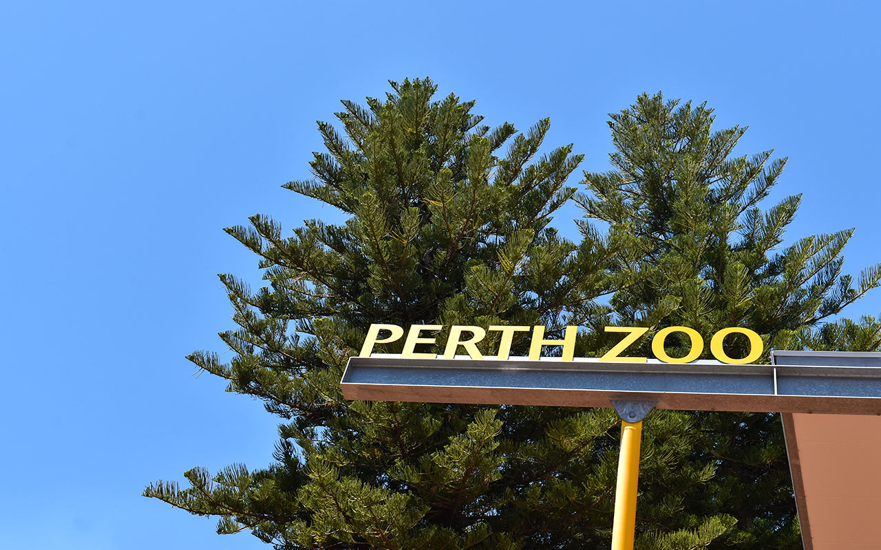 Include the zoo on your Perth trip itinerary
