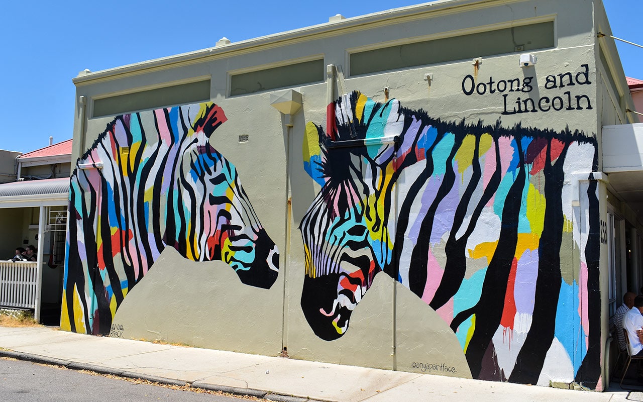 Say hello to the zebras at Ootong and Lincoln