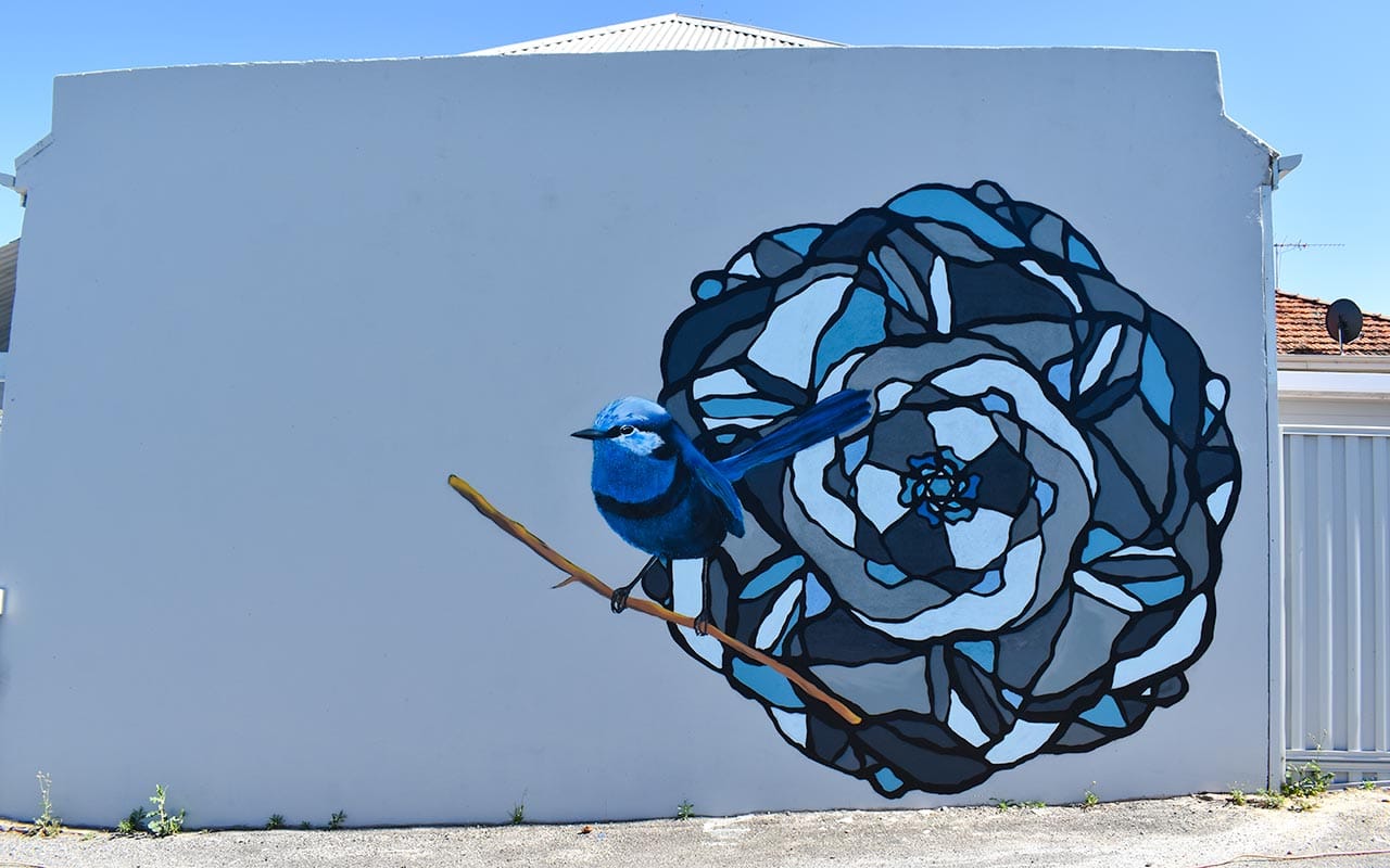 The blue wren and blue rose is fantastic street art