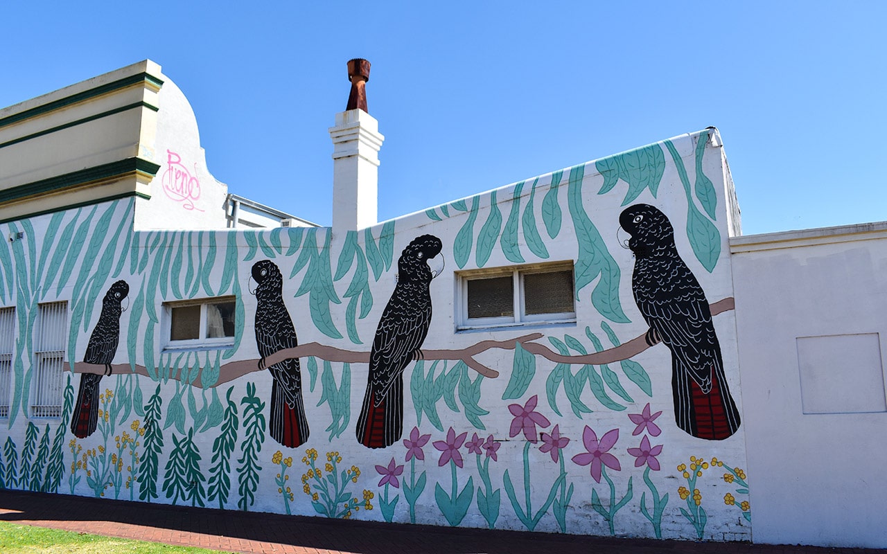 The Australian wildlife is never far from Perth street art