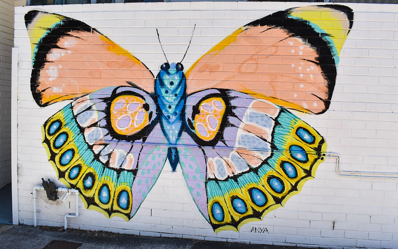 Anya Brock loves painting butterflies in Subiaco