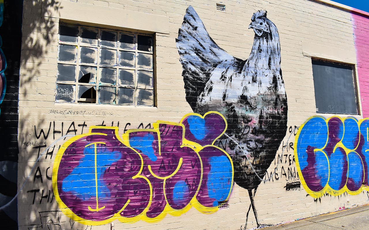 A giant chicken on the wall will greet you on your walk