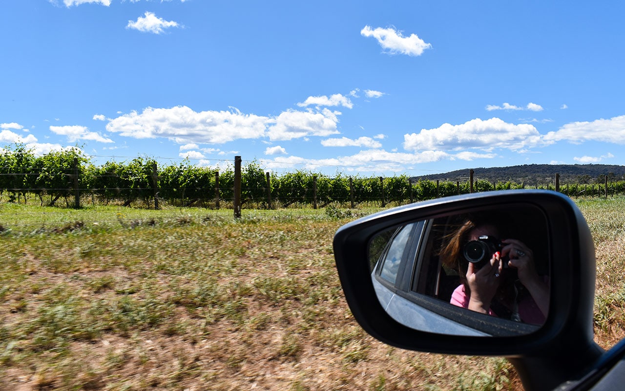 Leisure drive in the vineyards of Tasmania
