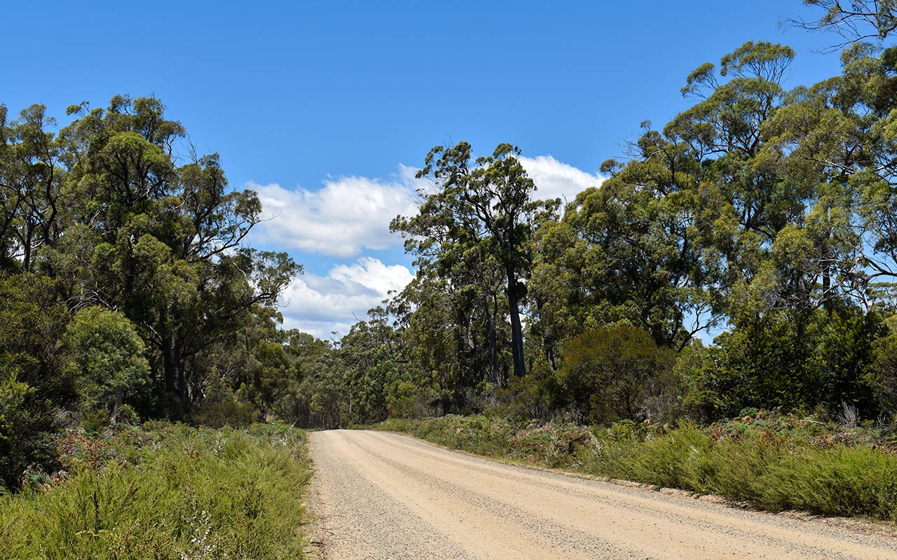 Driving along dirt roads in Tasmania
