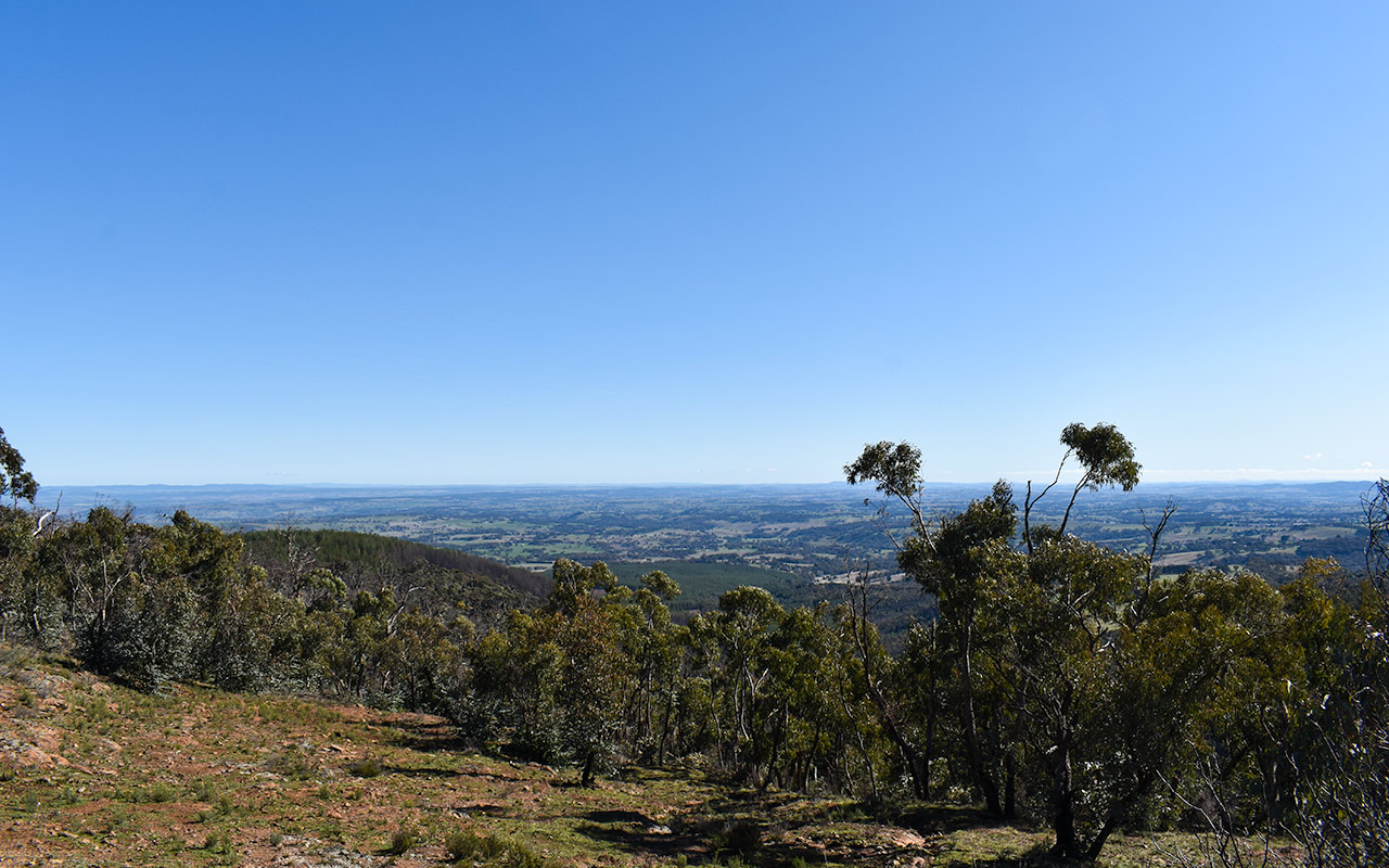 Take in the views of Orange from Mount Canobolas