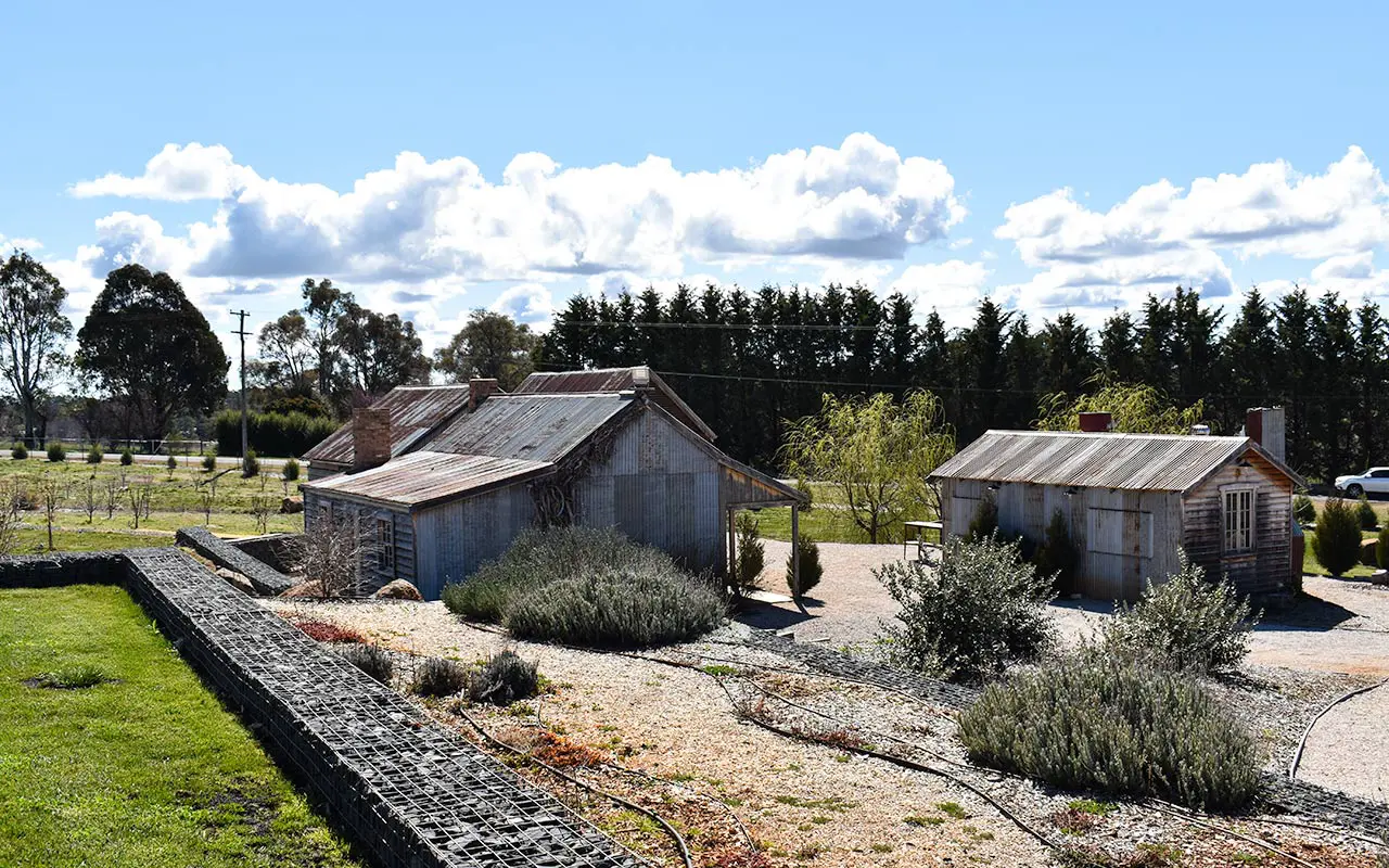 Those sheds are typical of Australian wineries