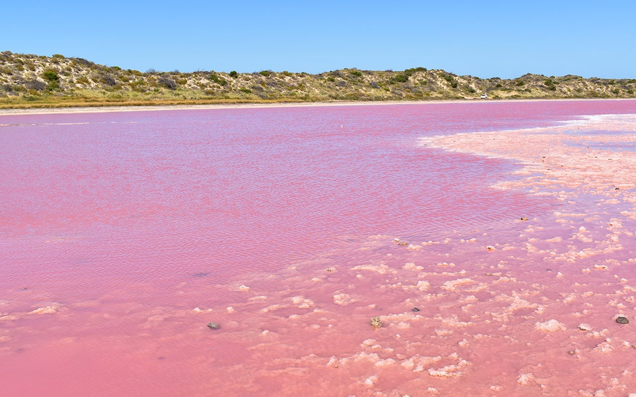 The pink lake is near Kalbarri