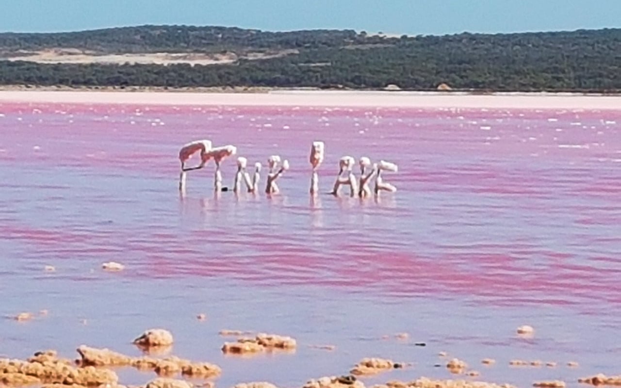 Pink Lake is spelled in salt!