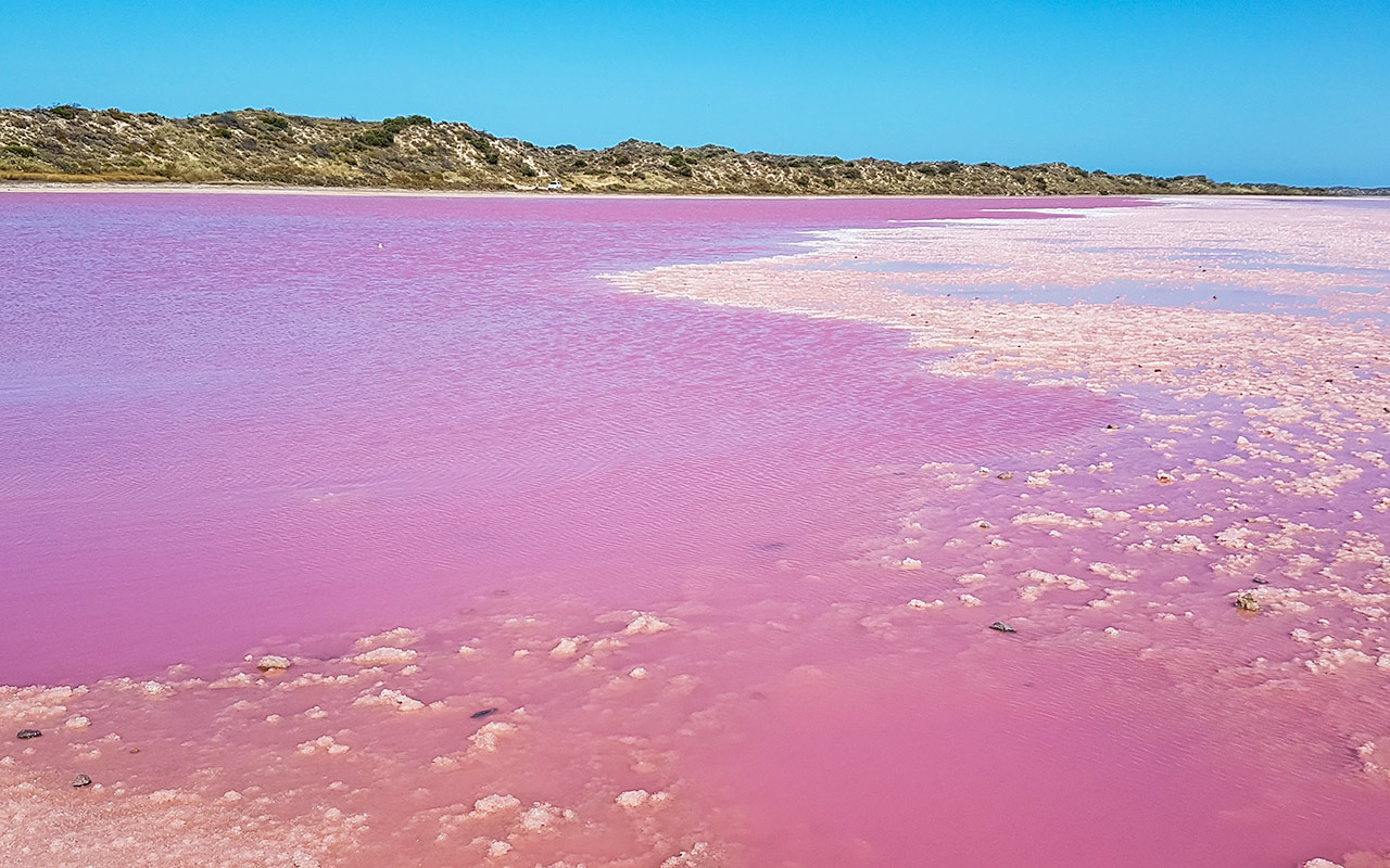 Hutt Lagoon is pretty in pink!