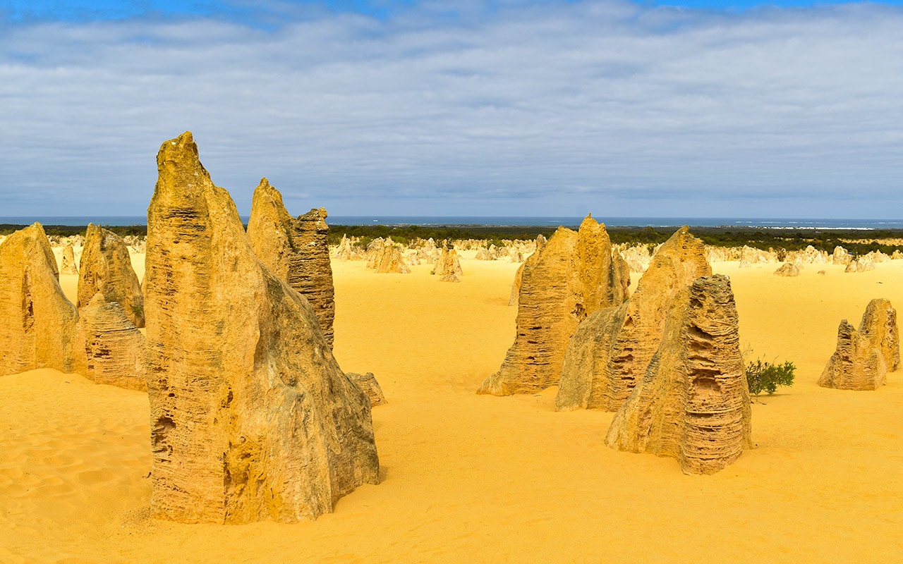 Some of the limestone pillars at the Pinnacles are quite tall