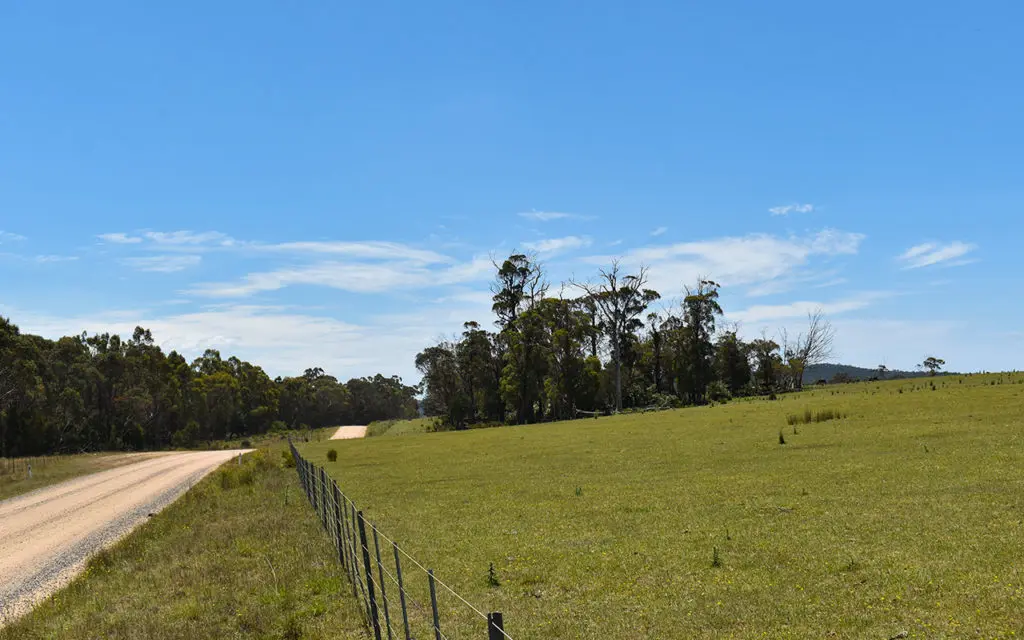 The East Coast of Tasmania has some nice rural roads