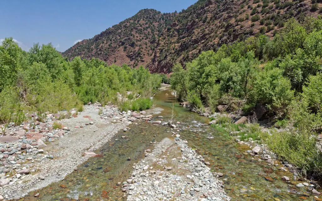 A fresh cued in the Atlas Mountain of Morocco