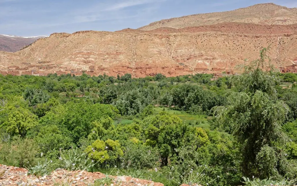 The country outside Marrakech is quite dry