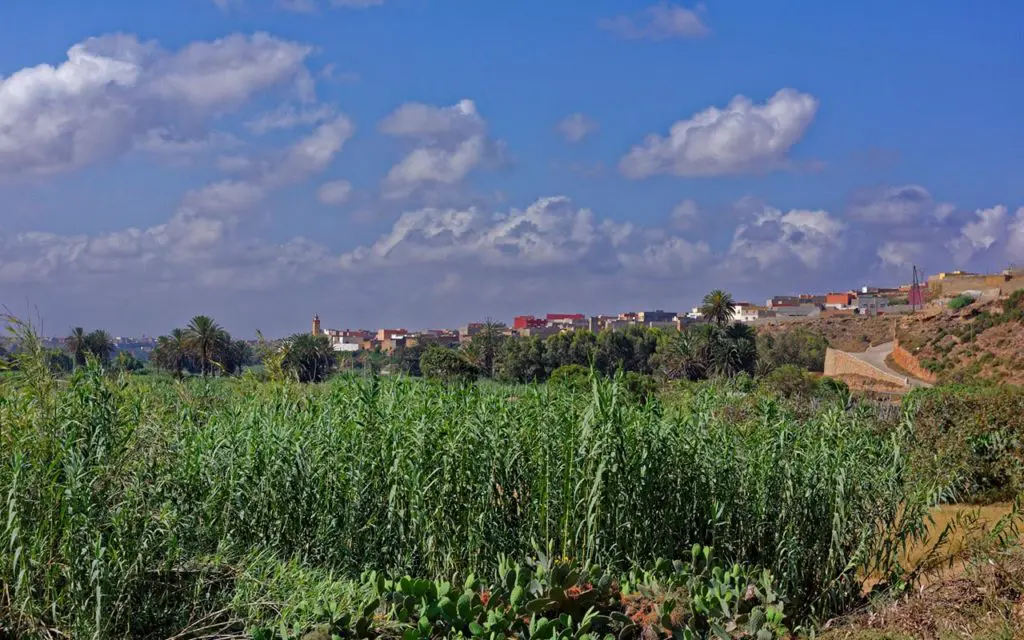 Tour the surroundings in Marrakech